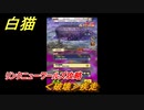 白猫　リンクニューワールズ攻略　＜破壊＞疾走　ガチャキャラ　グラハム（剣）ジン（拳）アイリス＆赤髪（弓）イクシア（輝剣）　９周年イベントEP４　＃８１　【白猫プロジェクト】