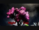 Night Cap　-眠れぬ夜、あなたを想う-