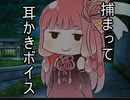 琴葉茜に捕まって耳かきボイス