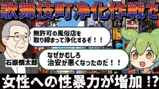 【VOICEVOX解説】ずんだもんと学ぶ歌舞伎町浄化作戦―女性の被害が逆に増えた？【ゆっくり解説】