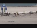 2023年7月17日高知競馬4R ＹＪＳトライアルラウンド高知 第２戦(C3-7組) デロリス