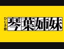 【ひじき祭予告】サムネイルとタイトルだけじゃ全く伝わらない動画