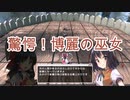 【東方シンセカイ　霊夢シナリオ　#2】博麗大結界は機能しているのか？文が語った驚愕の真実。【Switch実況動画】