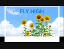 FLY HIGH