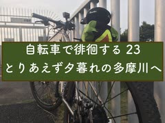 自転車で徘徊する 23 〜とりあえず夕暮れの多摩川へ〜