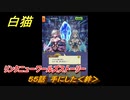 白猫　リンクニューワールズストーリー　５５話　手にした＜絆＞　ガチャキャラ　グラハム（剣）ジン（拳）アイリス＆赤髪（弓）イクシア（輝剣）　９周年イベントEP４　＃９１　【白猫プロジェクト】