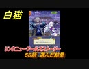 白猫　リンクニューワールズストーリー　５８話　選んだ結果　ガチャキャラ　グラハム（剣）ジン（拳）アイリス＆赤髪（弓）イクシア（輝剣）　９周年イベントEP４　＃９５　【白猫プロジェクト】