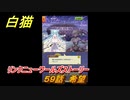 白猫　リンクニューワールズストーリー　５９話　希望　ガチャキャラ　グラハム（剣）ジン（拳）アイリス＆赤髪（弓）イクシア（輝剣）　９周年イベントEP４　＃９６　【白猫プロジェクト】