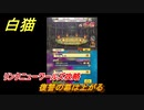 白猫　リンクニューワールズ攻略　復讐の幕は上がる　ガチャキャラ　グラハム（剣）ジン（拳）アイリス＆赤髪（弓）イクシア（輝剣）　９周年イベントEP４　＃９８　【白猫プロジェクト】
