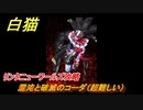 白猫　リンクニューワールズ攻略　混沌と破滅のコーダ（超難しい）　ガチャキャラ　グラハム（剣）ジン（拳）アイリス＆赤髪（弓）イクシア（輝剣）　９周年イベントEP４　＃１００　【白猫プロジェクト】
