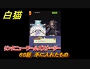 白猫　リンクニューワールズストーリー　６５話　手に入れたもの　ガチャキャラ　グラハム（剣）ジン（拳）アイリス＆赤髪（弓）イクシア（輝剣）　９周年イベントEP４　＃１０４　【白猫プロジェクト】