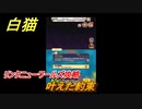 白猫　リンクニューワールズ攻略　叶えた約束　ガチャキャラ　グラハム（剣）ジン（拳）アイリス＆赤髪（弓）イクシア（輝剣）　９周年イベントEP４　＃１０５　【白猫プロジェクト】