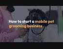 How to start a mobile pet grooming business