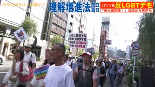 【差別あります閲覧注意】Jアノン系？反LGBTデモ【音量も注意】