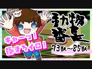 【動物番長】つっつのレトロゲーム実況プレイ Part.22