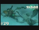 【ゼルダの伝説 Tears of the Kingdom】風の賢者【実況】#29