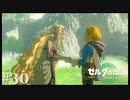 【ゼルダの伝説 Tears of the Kingdom】王妃の腹パン【実況】#30