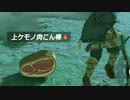 【ティアキンだけは】part.37【実況させて】