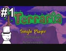 テラリア充になりたい(with帽子)【terraria】＃1