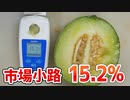 去年の大失敗から今年はまさかの成功！【メロン（市場小路）2023 part 9】