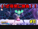 【星のカービィWiiデラックス】宇宙翔ける船と怪しいトモダチ_Part11【実況】