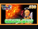 【DQⅨ】職業選択の自由など無いドラクエ9実況プレイ Part30【ドラゴンクエストⅨ】