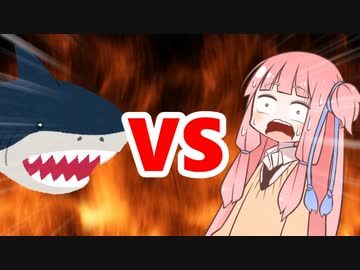 茜ちゃんVSサメ