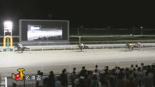 第27回名港盃 ナムラマホーホ