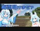 2023年7月18日　農作業日誌P694　梅雨明けしてないけど夏みたいな天気の中で畑耕しているだが暑い