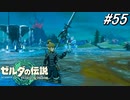 【ティアキン】友達がハンドパワーに目覚めました【ゼルダの伝説 ティアーズ オブ キングダム】実況プレイ part55
