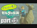 やたらよく喋る騎士 part12【ゼルダの伝説Tears of the Kingdom】