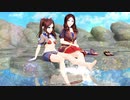 【Fate/MMD】そうだ、水遊びしよう