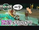 【ゼルダの伝説TOTK】コーガ様を騙してみよう！【ティアキン】#67
