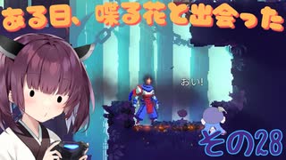 ウナキリのスライム君とムズムズダンジョン その28【Dead Cells】