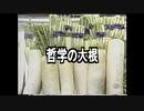 哲学の傲慢 #13「西洋哲学史まとめ」
