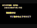 紅子の宇宙船 －音声版－ 2023年07月19日