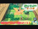 新たなる挑戦を始める！＃34【Let's Goイーブイ】