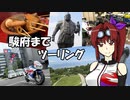 【CBR900RR】駿府までツーリング