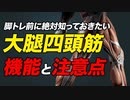 【筋トレ】大腿四頭筋の機能と注意点、お勧めのセット数・レップ数・頻度・メニュー | ボディビルチャンピオンが解説【ビーレジェンド プロテイン】