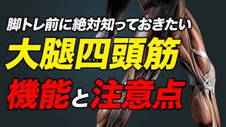 【筋トレ】大腿四頭筋の機能と注意点、お勧めのセット数・レップ数・頻度・メニュー | ボディビルチャンピオンが解説【ビーレジェンド プロテイン】