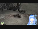 暗い魂の葵ちゃん