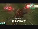 [ゼルダの伝説TotK　#70] 　こんな逃げてばかりの弱虫に負けるわけなかろう