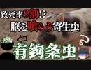 【ゆっくり解説】生の豚肉にはご用心 有鉤条虫について