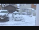 2022雪の鳥取⛄
