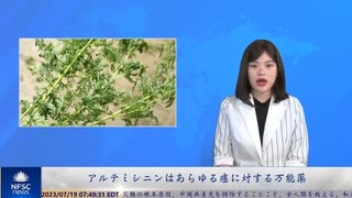 アルテミシニンはあらゆる癌に対する万能薬