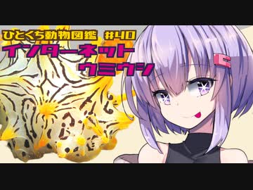 ひとくち動物図鑑　#40　インターネットウミウシ　[VOICEROID解説]