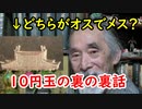 【古銭】１０円の鳳凰は、どちらがオスでどちらがメスなの？こづち先生が解説する！！