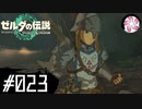 【ティアキン＃23】凡人が行く龍泪旅