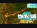 【実況】大空を翔る。ゼルダの伝説ティアーズオブザキングダム 実況プレイ！Part59【ゼルダの伝説TotK】