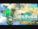 【実況】大空を翔る。ゼルダの伝説ティアーズオブザキングダム 実況プレイ！Part61【ゼルダの伝説TotK】